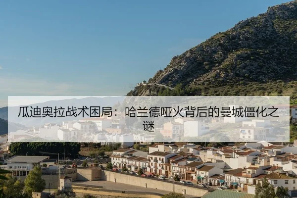 gua-di-ao-la-zhan-shu-kun-ju-ha-lan-de-ya-huo-bei-hou-de-man-cheng-jiang-hua-zhi-mi-2-337.jpg