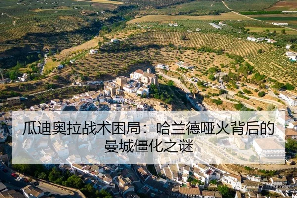 gua-di-ao-la-zhan-shu-kun-ju-ha-lan-de-ya-huo-bei-hou-de-man-cheng-jiang-hua-zhi-mi-3-333.jpg